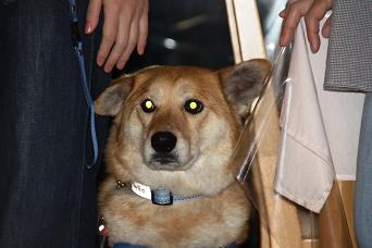 IMG_0601.jpg