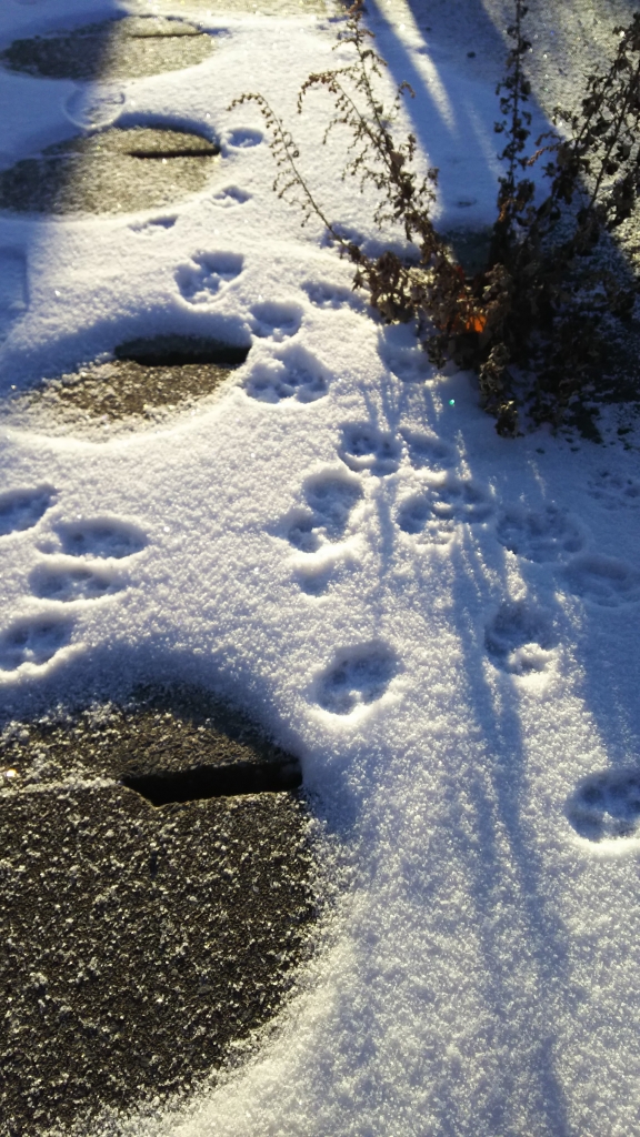 20181219_5831713.jpg