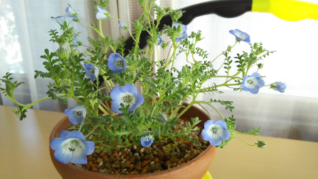 20190426_5979059.jpg
