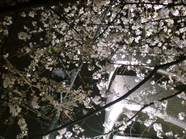 SN3D0365.jpg