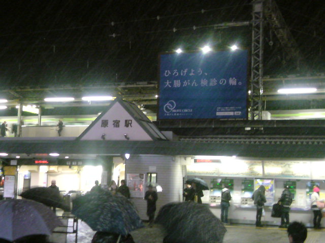 SN3D0759.jpg