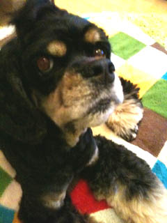 20100629-2.jpg