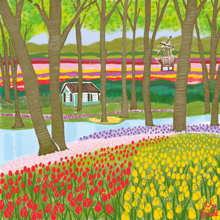 オリジナルイラスト オランダのチューリップ畑 風景イラスト 景色イラスト 本山浩子のイラストファイル News