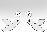 20111113a.jpg