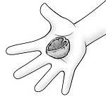 20111128nutshell.jpg