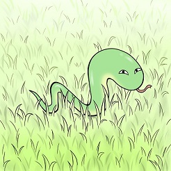 20130903snake.jpg