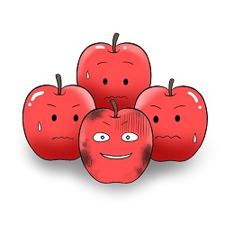 20150630apple.jpg