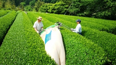 坂本園