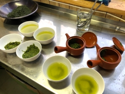 新茶の拝見
