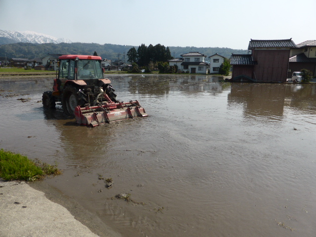水明のころー雨の日の代かき作業 絵画「水明のころ～