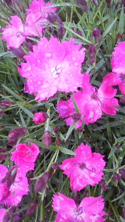 2013042410140002.jpg