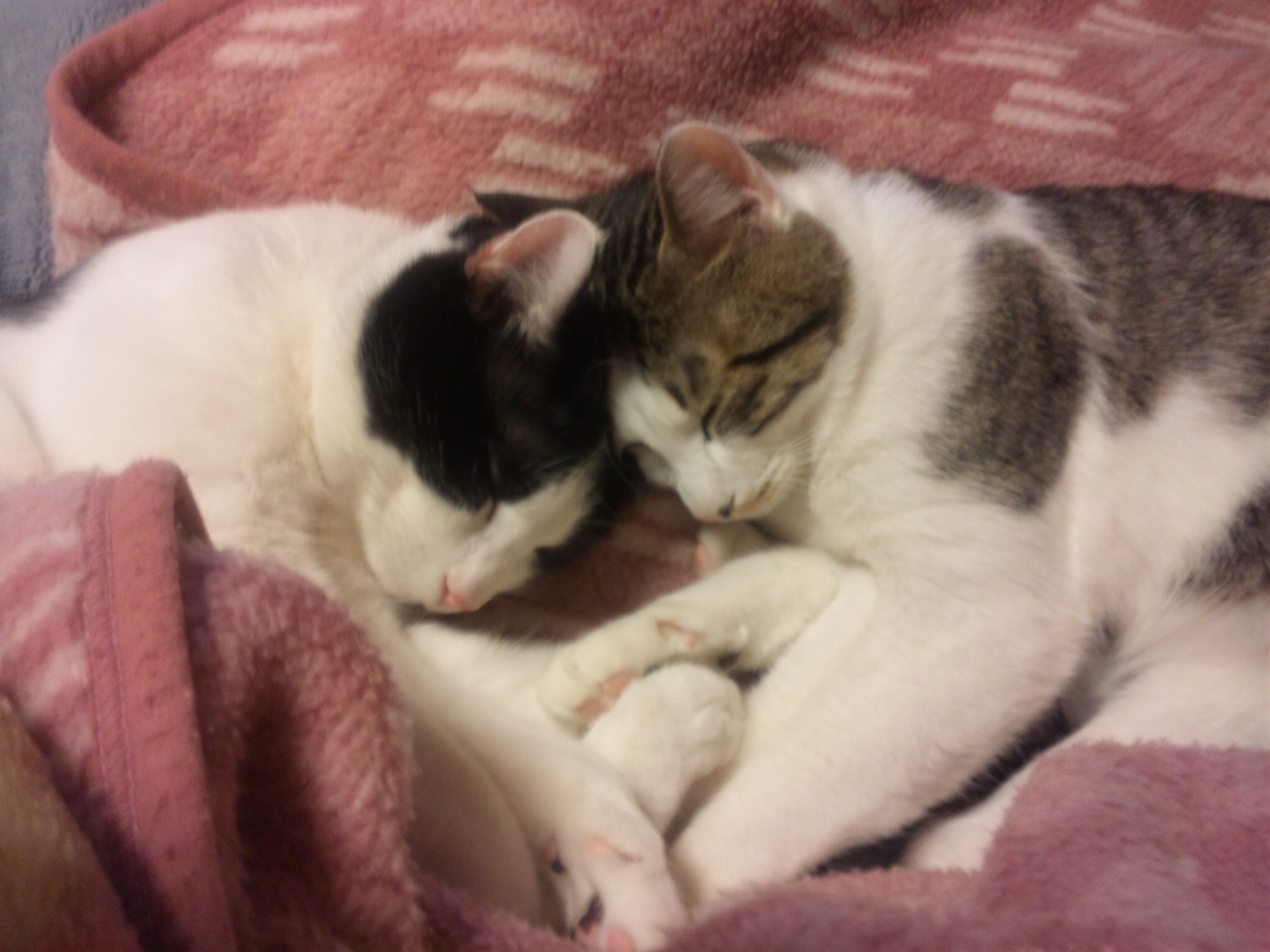 120103_201234.jpg