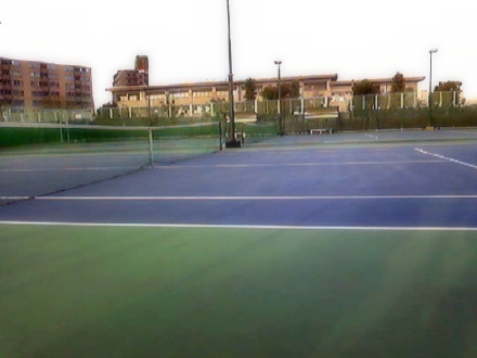 tennis