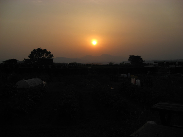 久しぶりの夕陽