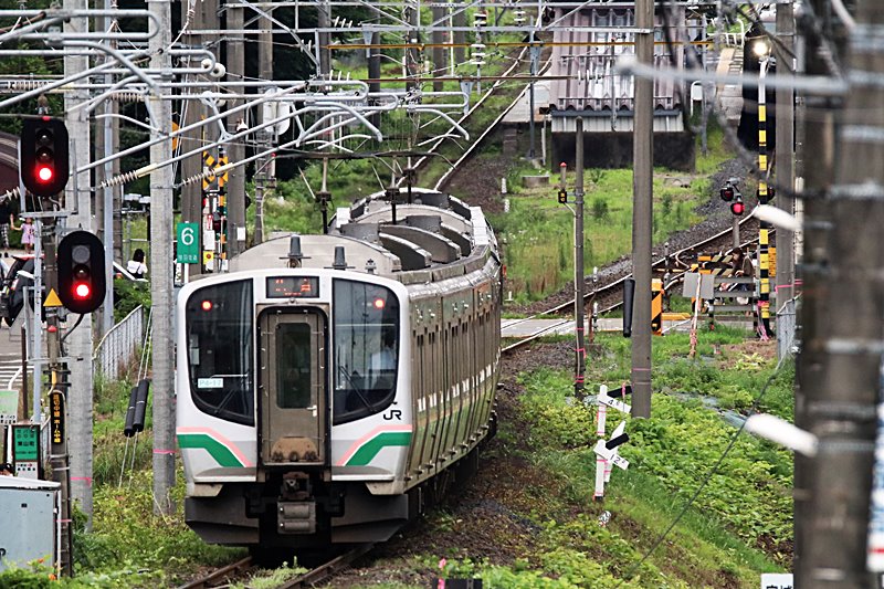 なごみ JR東日本「東京駅開業110周年記念号」E655系「なごみ(和)」で