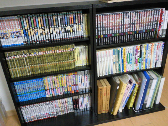 で、結局はニトリのCDラックとして売ってた棚が 高さ可変と奥行きの浅さをうまいこと両立していたので2個購入。 しかも一番下の棚が転倒防止で