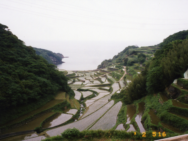 2002.5.16-4.jpg