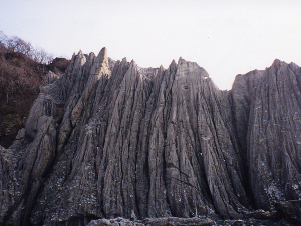 2004.4.29-14.jpg