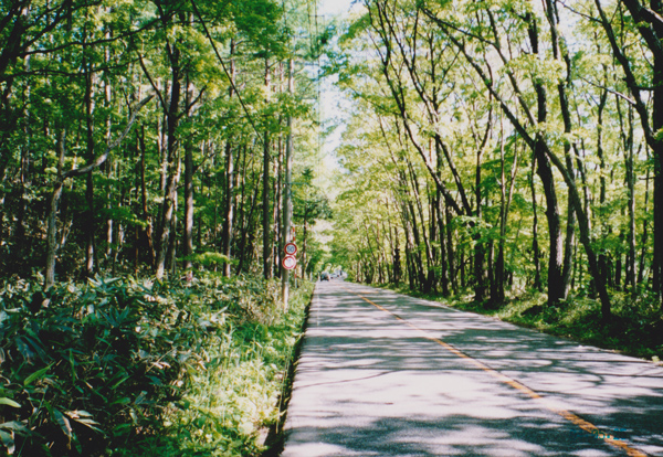 2004.5.25-7.jpg