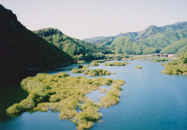 2004.5.25-8.jpg