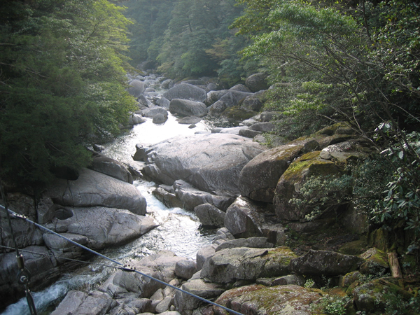 2008.4.30-4.jpg
