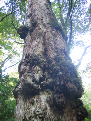 2008.4.30-5.jpg