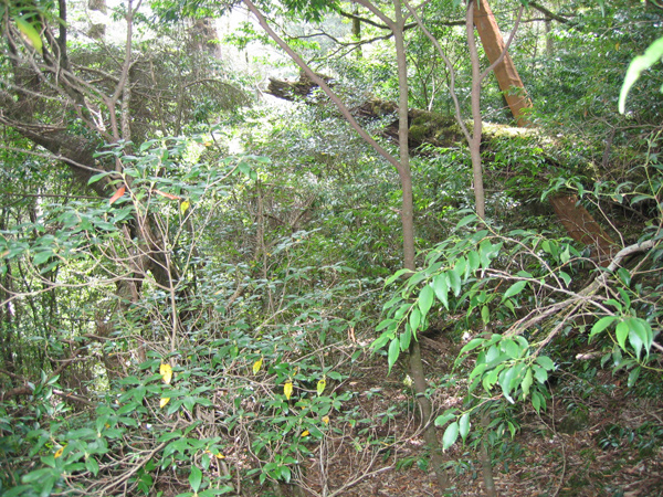 2008.4.30-20.jpg