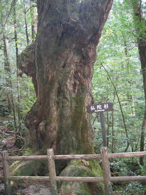 2008.4.30-22.jpg