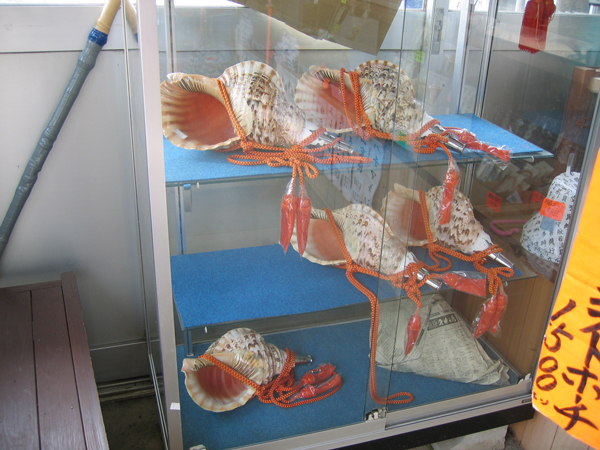 2008.5.22-7.jpg