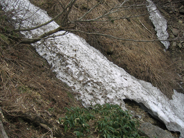2008.5.22-17.jpg