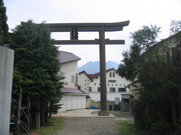 2008.5.22-26.jpg