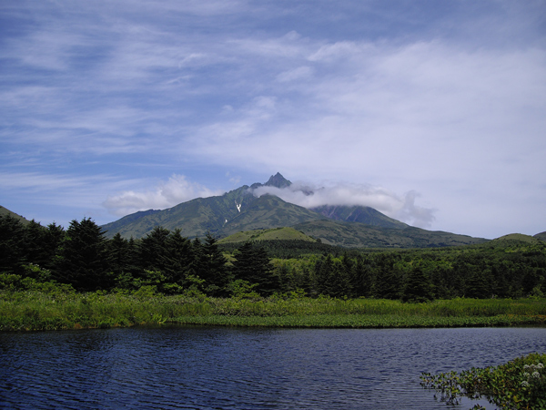 IMGP0597.jpg