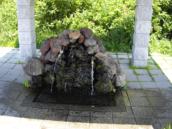 IMGP0608.jpg