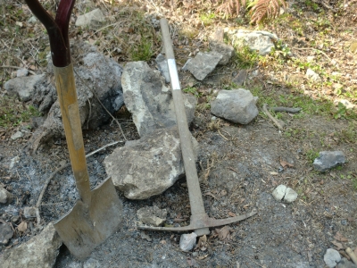 CIMG6575.JPG
