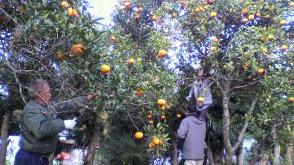 2011041108130000.jpg