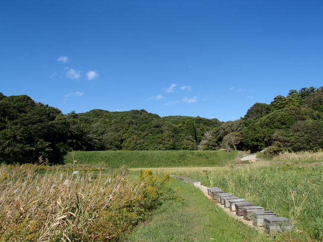 PB022235.JPG