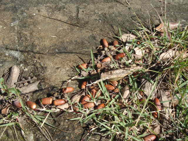 PB022246.JPG