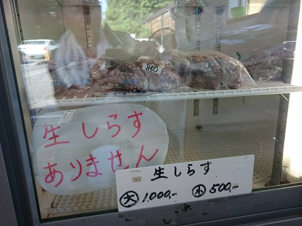 6 - コピー - コピー.jpg