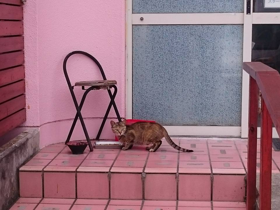 14 - コピー.jpg