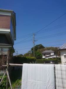 8 - コピー (3).jpg