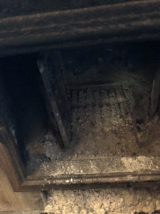 20110409_4409391.jpg