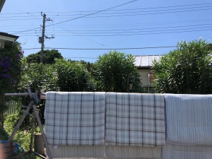 20190603_2103962.jpg