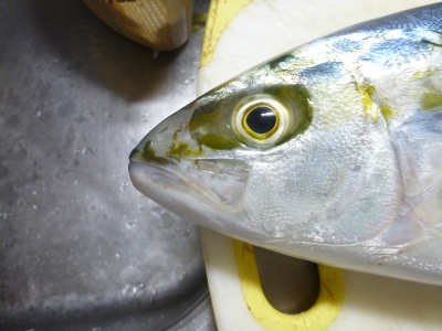P1020140.JPG