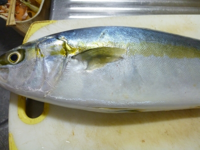 P1020141.JPG