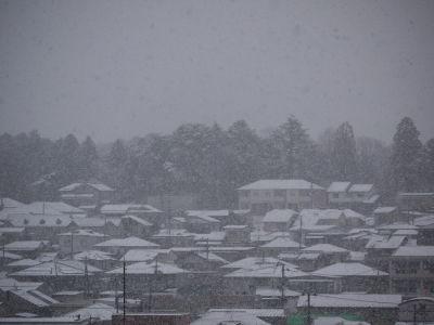 4月の雪