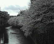 201004011455000.jpg