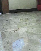 201012250832000.jpg