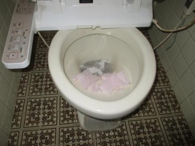 （トイレつまり抜き解体修理）?流れテスト.JPG