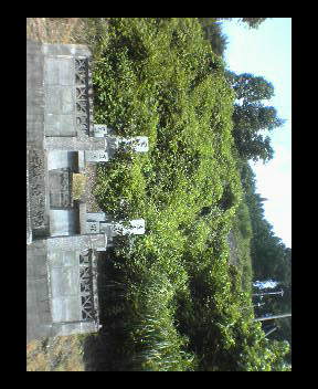 20060813_231468.jpg