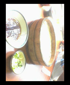 20060814_232121.jpg